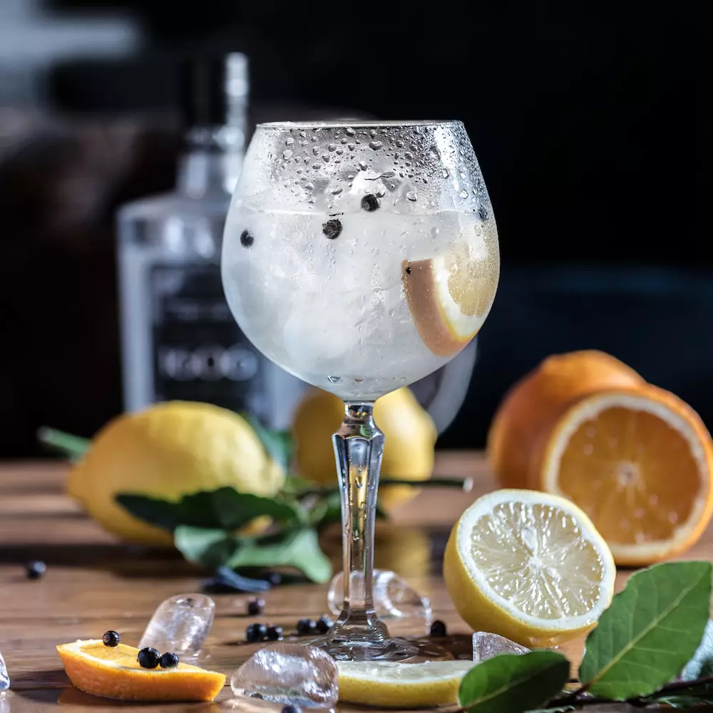 gin_tonic_cocktail