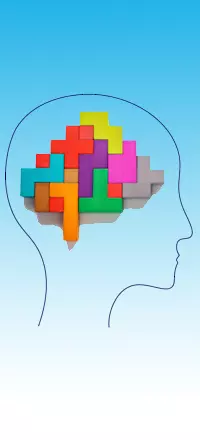 cerveau